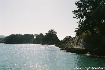 dogashima01