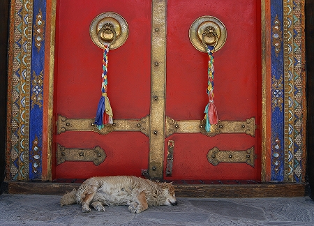 タシルンポ寺（シガツェ）Tashilhunpo Monastery