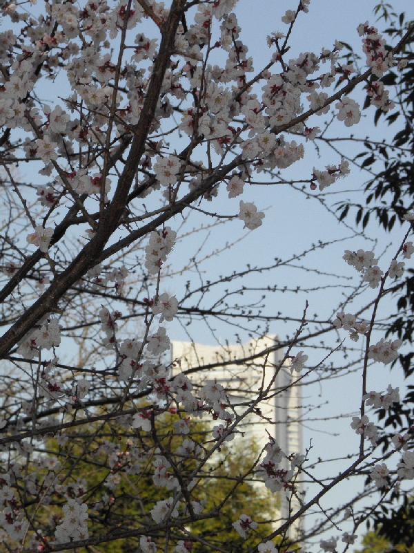 P3090842.JPG