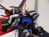 G[XgCN