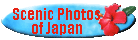 Go to Scenic Photos of Japan