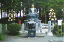 shakyamuni