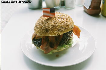 navyburger01.