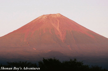 Red Fuji