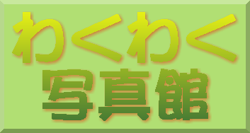 勞勞̿ۥ